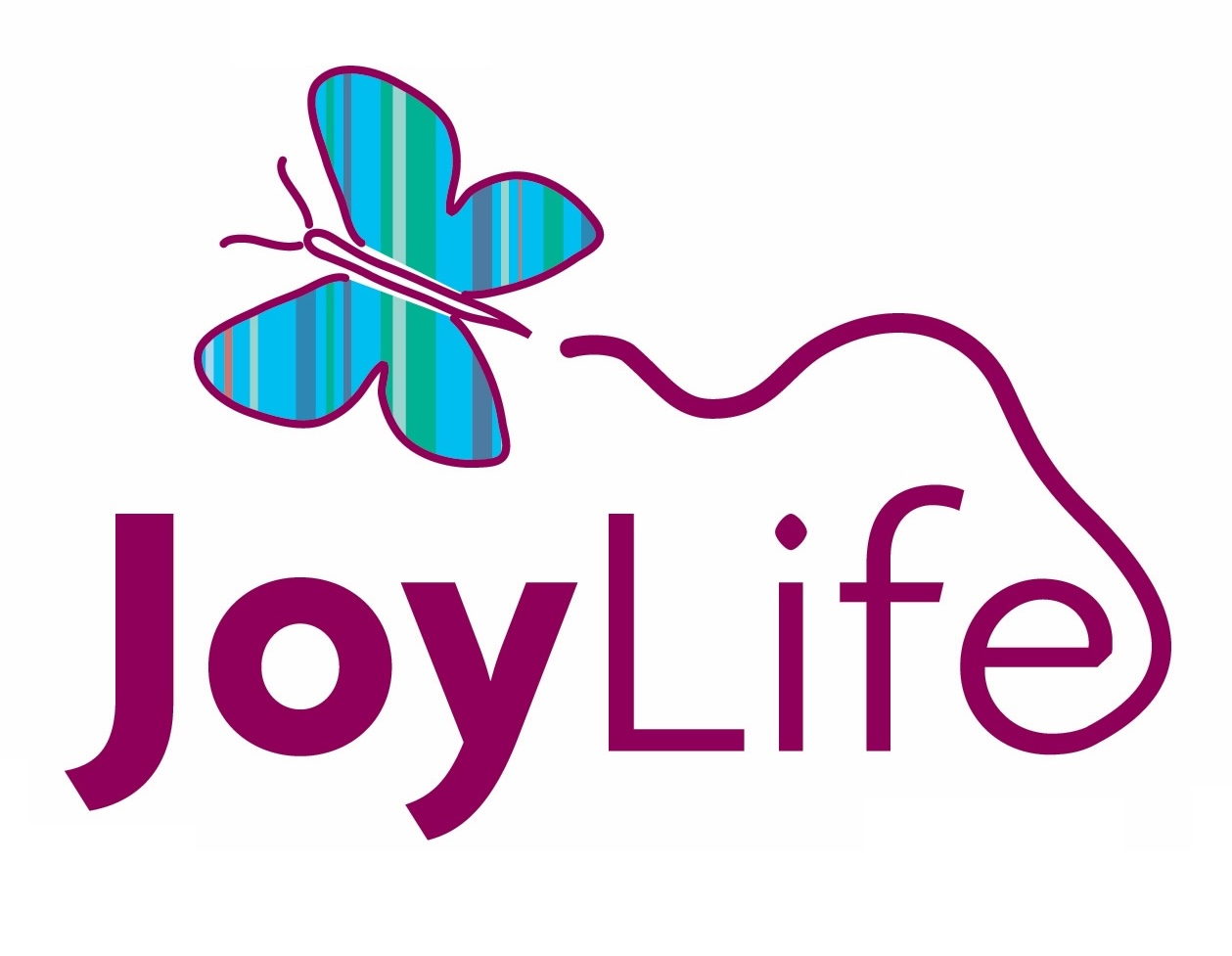 JoyLife Chair Massage Minneapolis/St Paul